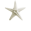 Sea Star Small Pin, Porcelain Angels and Ornaments - Margaret Furlong Designs 2006